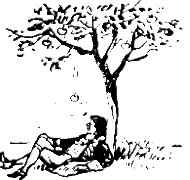 Izaak Newton pod drzewem.